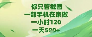 你只管截图，一部手机在家做，苹果安卓都可以，一天5张+| 网创圈