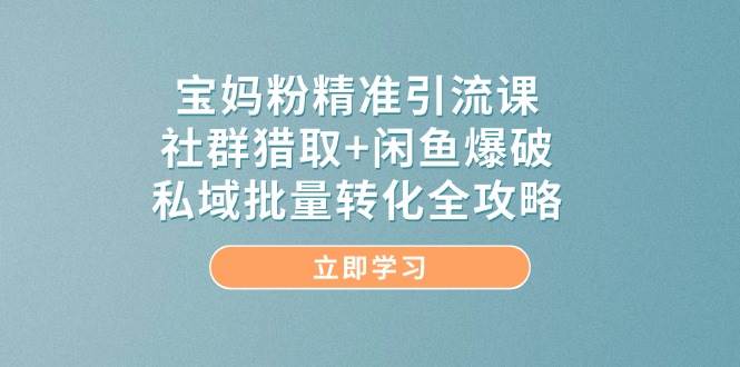 宝妈粉精准引流课，社群猎取+闲鱼爆破，私域批量转化全攻略| 副业网