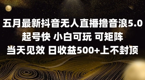 2025五月最新无人直播撸音浪单日产出5张+实操教程| 网创圈