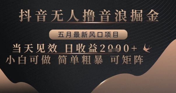 抖音无人撸音浪掘金，五月最新风口项目，当天见效，日收益多张，小白可做简单粗暴可矩阵| 网创圈