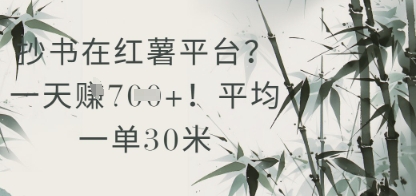 抄书在小红薯平台？平均一单30米，一天收益几张！| 网创圈