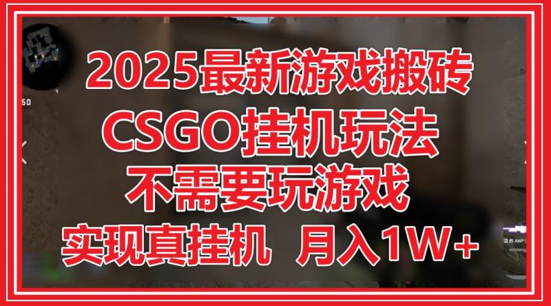 （14743期）2025最新游戏搬砖，CSGO挂机，不需要玩游戏，实现真挂机，月入1W+| 网创圈