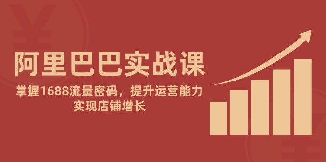 （14830期）阿里巴巴实战课：掌握1688流量密码，提升运营能力，实现店铺增长| 网创圈