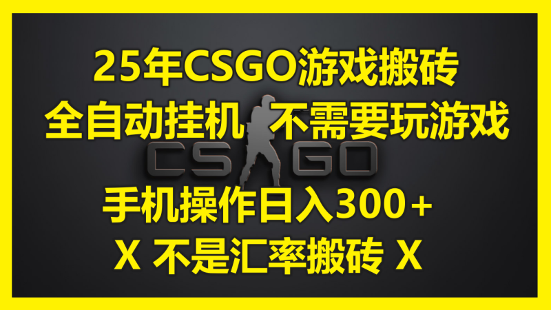 （14902期）25年CSGO游戏搬砖，全自动挂机，不需要玩游戏，手机操作日入300+。(不…| 网创圈