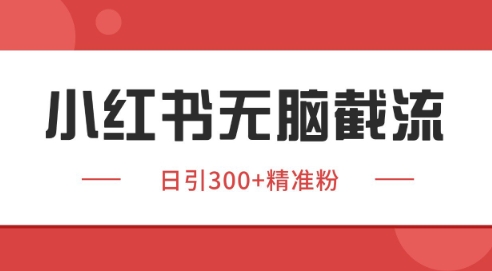 小红书截流同行客源，独家野路子获客玩法 日引200+暴力获客| 网创圈