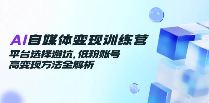 AI自媒体变现训练营，平台选择避坑，低粉账号高变现方法全解析| 网创圈