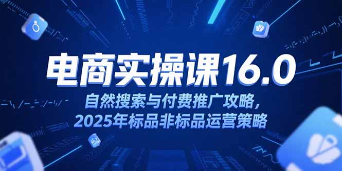 淘宝电商运营课16.0，自然搜索与付费推广攻略，2025年标品非标品运营策略| 副业网