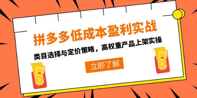 拼多多低成本盈利实战，类目选择与定价策略，高权重产品上架实操| 副业网