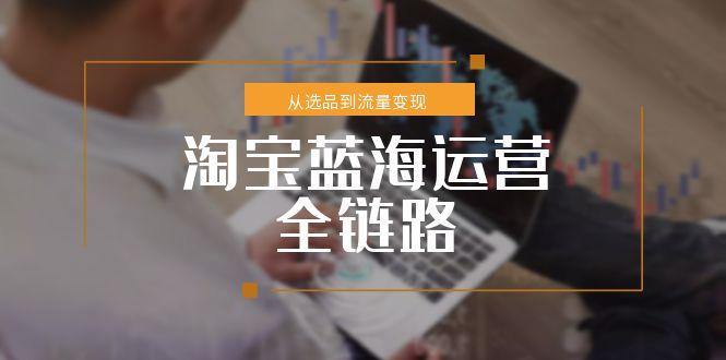 淘宝蓝海运营全链路，从选品到流量变现，小类目突围完整方案| 副业网