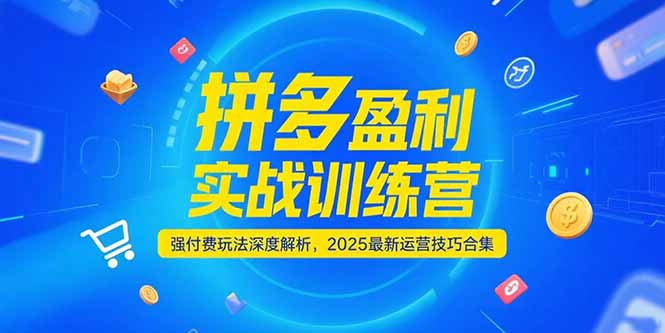 拼多多盈利实战训练营，强付费玩法深度解析，2025运营技巧合集-更新6月| 副业网