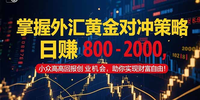 掌握外汇黄金对冲策略，日赚 800 – 2000，小众高回报创业机会，助你实…| 副业网