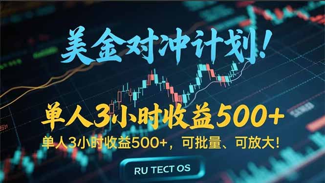 长久稳定的撸美金项目，平均3小时收入 500+，可公司实地考察实地操作！| 副业网
