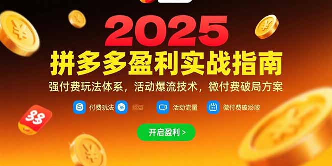 拼多多盈利实战指南，强付费玩法，活动爆流技术，微付费破局方案(更新7月| 副业网