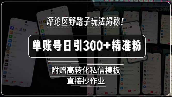 评论区野路子玩法揭秘！单账号日引300+精准粉，附赠高转化私信模板，直…| 副业网