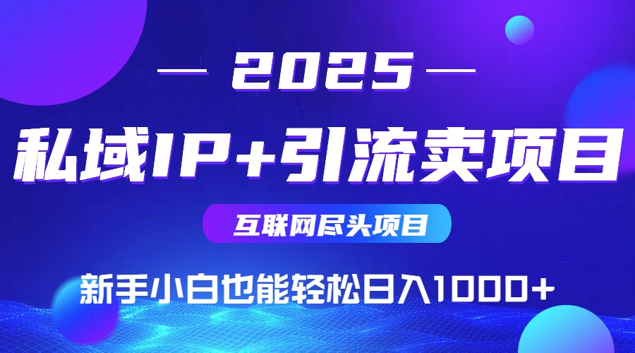 2025网创尽头项目，私域IP+引流，新手小白也能在家日入1000+| 副业网