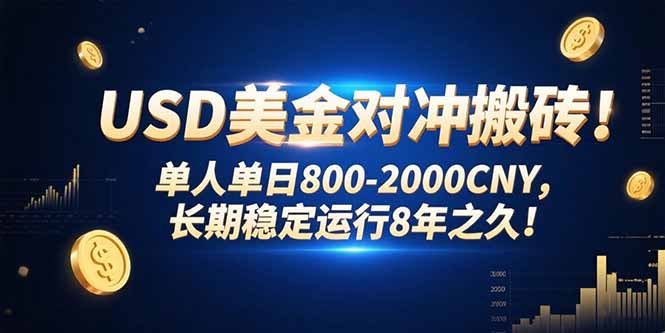 USD美金对冲搬砖!单人单日800-2000CNY，长期稳定运行8年之久!| 副业网