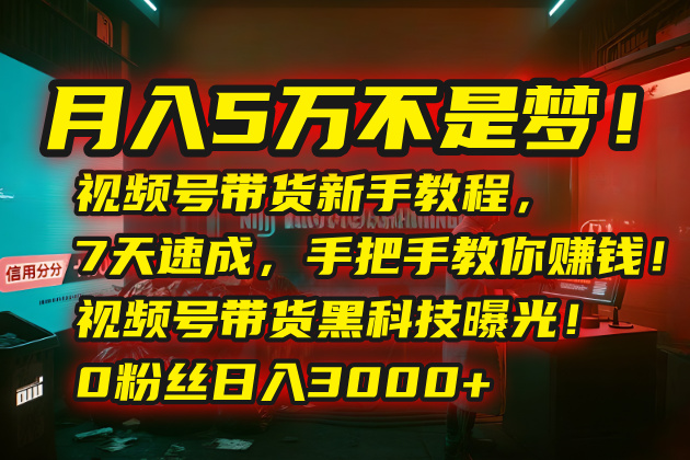 月入5万不是梦！视频号带货新手教程，7天速成，手把手教你赚钱！视频号…| 副业网