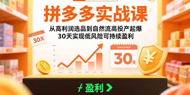 拼多多实战课：从高利润选品到自然流高投产起爆 30天实现低风险可持续盈利| 副业网
