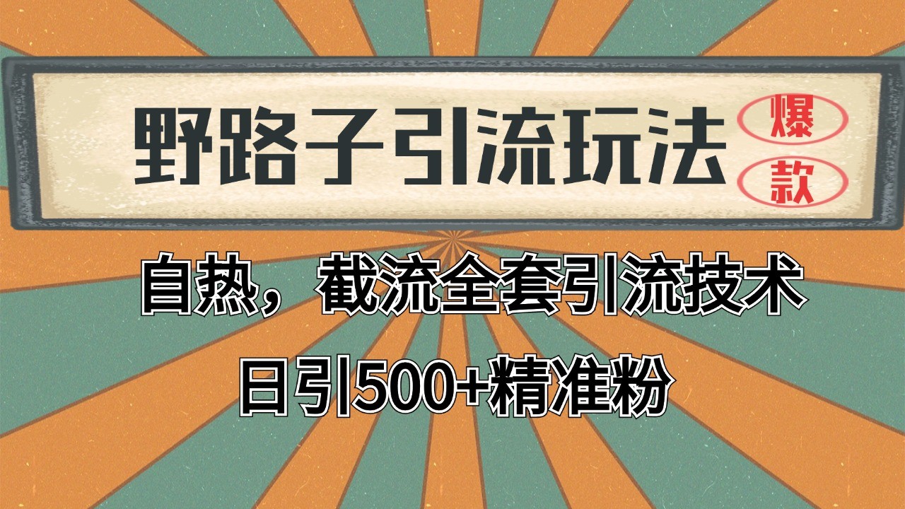 2024首发野路子引流玩法截流自热全平台打法，全自动引流【日引2000+精准客户】| 副业网