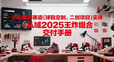 小众暴利赛道(球鞋定制，二创项目)实体+私域2025王炸组合  交付手册| 副业网