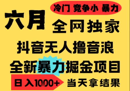 25年6月高爆抖音无人直播最新撸音浪掘金项目，小白可做，无脑日入1k+，门槛低可批量矩阵【揭秘】| 网创圈