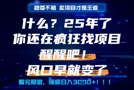 什么？25年你还在疯狂找项目做，醒醒吧，看完这些你全都懂了！【揭秘】| 副业网