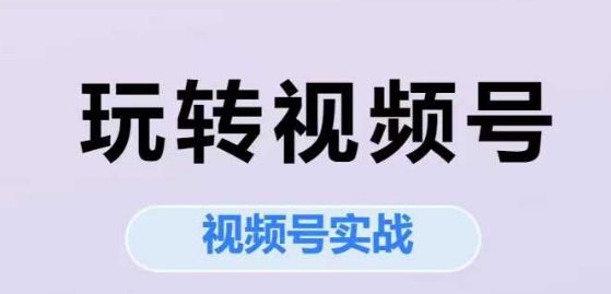 玩转视频号，视频号实战系列课| 网创圈