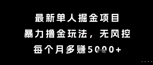 最新单人掘金项目，暴力撸金玩法，无风控，每个月多挣5k+【揭秘】| 副业网