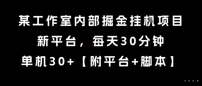 某工作室内部掘金挂G项目，新平台，每天30分钟，单机30+【揭秘】| 副业网