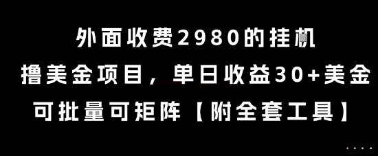 外面收费2980的挂G撸美金项目，单日收益30+美金，可批量可矩阵【揭秘】| 副业网