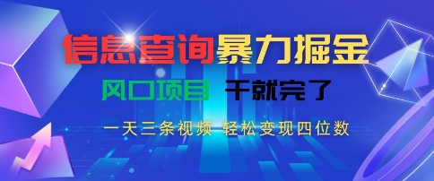 信息查询暴力掘金，一天三条视频，轻松变现四位数，风口项目干就完了【揭秘】| 副业网