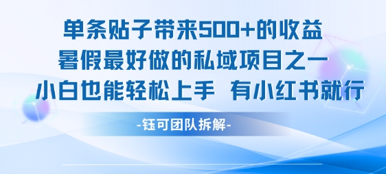 单条贴子带来5张的收益，暑假最好做的私域项目之一，小白也能轻松上手，有小红书就行| 网创圈