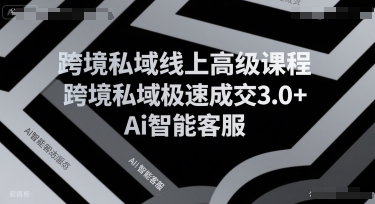跨境私域线上高级课程，跨境私域极速成交3.0+Ai智能客服| 副业网