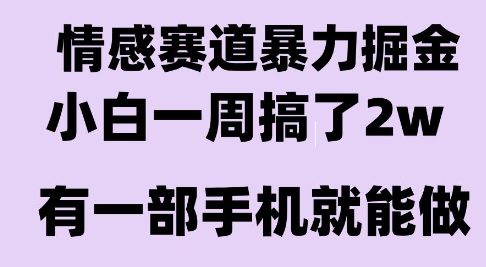 情感暴力掘金项目，新人操作一周挣了2W，长期稳定小白可做【揭秘】| 副业网