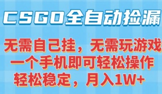 CSGO自动捡漏项目，最新独家玩法，一个手机可操作，新手小白轻松月入1W+，操作简单易上手【揭秘】| 副业网