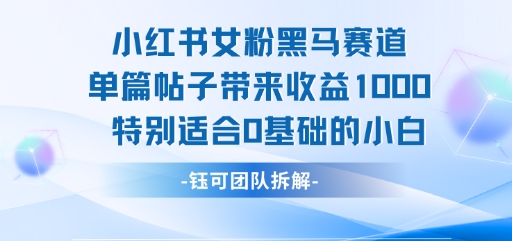小红书女粉黑马赛道单篇帖子带来收益1k+，特别适合0基础的小白| 网创圈