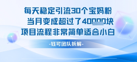 每天稳定引流30个人 当月变成超过了4个W项目流程非常简单适合小白| 副业网