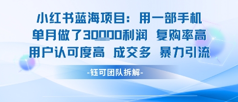 小红书蓝海项目，一部手机单月做了3W利润，小白也能月入过1W用户认可度高成交多| 网创圈