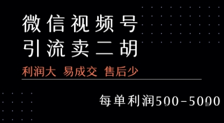 视频号卖二胡教程，利润大 易成交 售后少，一单利润5张+| 网创圈