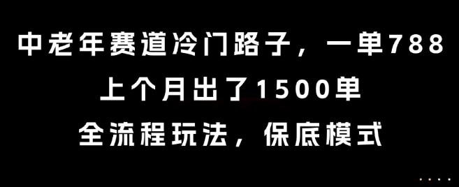 中老年赛道冷门路子，一单788，上个月出了1500单，全流程玩法，保底模式【揭秘】| 副业网