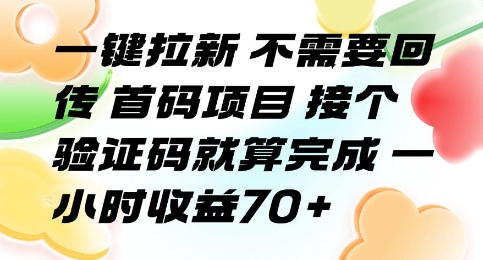 一键拉新 不需要回传 首码项目 接个验证码就算完成 一小时收益70+【揭秘】| 副业网