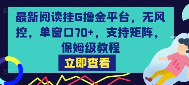 最新阅读挂G撸金平台，无风控，单窗口70+，支持矩阵，保姆级教程【揭秘】| 副业网