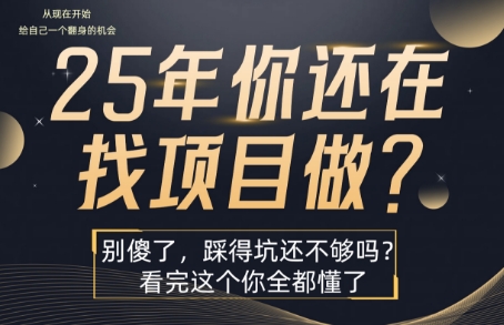 25年，你还在疯狂的找项目吗？别傻了，看完这个你都懂了【揭秘】| 副业网