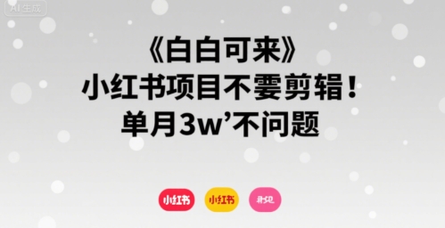 小白可来 小红书项目不需要剪辑 单月3w不是问题| 网创圈