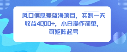 风口信息差蓝海项目，实测一天收益4k+，小白操作简单，可矩阵起号| 副业网