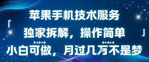 苹果手机技术服务，独家拆解，操作简单，小白可做，月过1W不是梦| 副业网