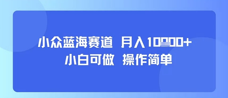 小众蓝海赛道，小白可做，操作简单，每天30分钟，月入1W+| 副业网