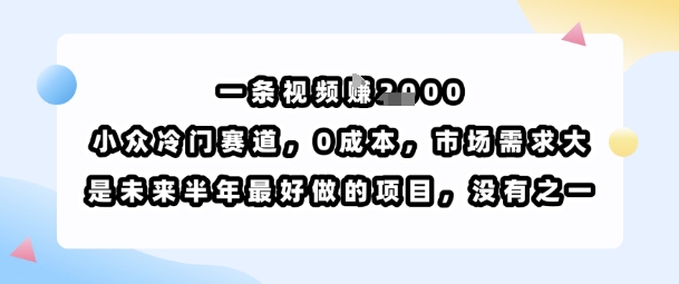 一条视频挣1k，小众冷门赛道，0成本，市场需求大，是未来半年最好做的项目，没有之一| 副业网