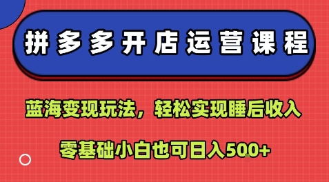 拼多多开店运营课程：蓝海变现玩法，轻松实现睡后收入，零基础小白也可日入5张| 副业网