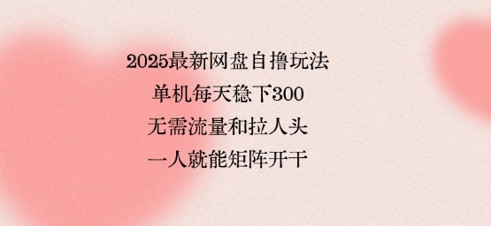 2025最新网盘自撸玩法，单机每天稳下3张，无需流量和拉人头，一个人就可轻松矩阵，全网独一份【揭秘】| 副业网